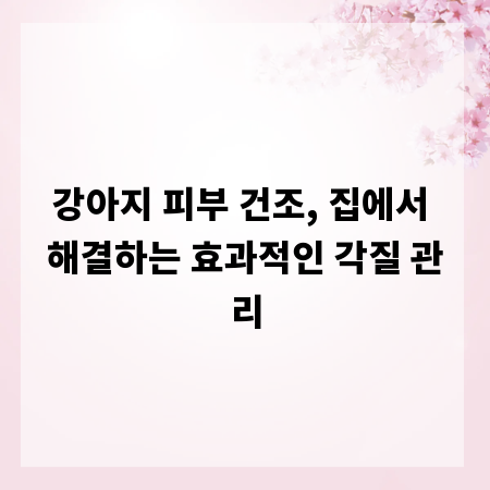 강아지 피부 건조, 집에서 해결하는 효과적인 각질 관리