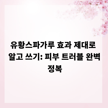 유황스파가루 효과 제대로 알고 쓰기: 피부 트러블 완벽 정복
