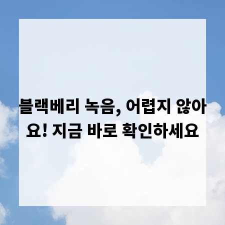 블랙베리 녹음, 어렵지 않아요! 지금 바로 확인하세요