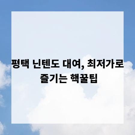 평택 닌텐도 대여, 최저가로 즐기는 핵꿀팁