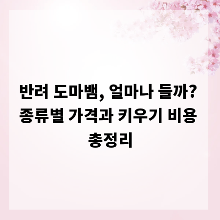 반려 도마뱀, 얼마나 들까? 종류별 가격과 키우기 비용 총정리