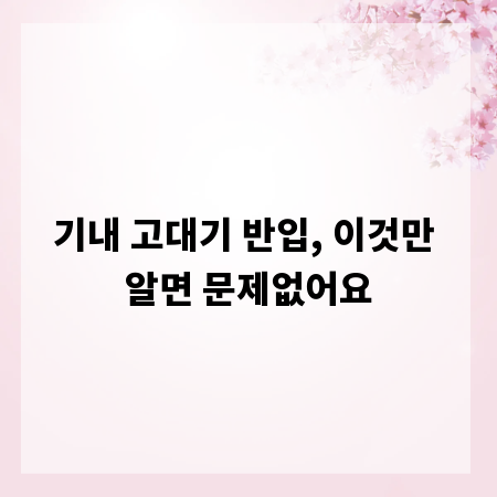 기내 고대기 반입, 이것만 알면 문제없어요