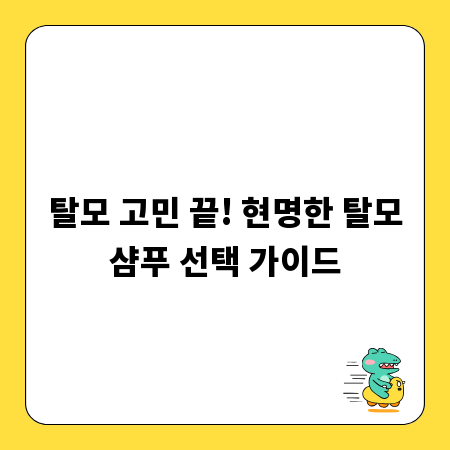 탈모 고민 끝! 현명한 탈모샴푸 선택 가이드