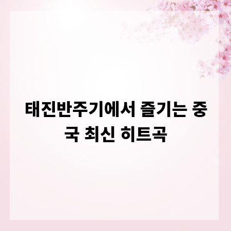 태진반주기에서 즐기는 중국 최신 히트곡