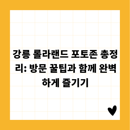 강릉 롤라랜드 포토존 총정리: 방문 꿀팁과 함께 완벽하게 즐기기