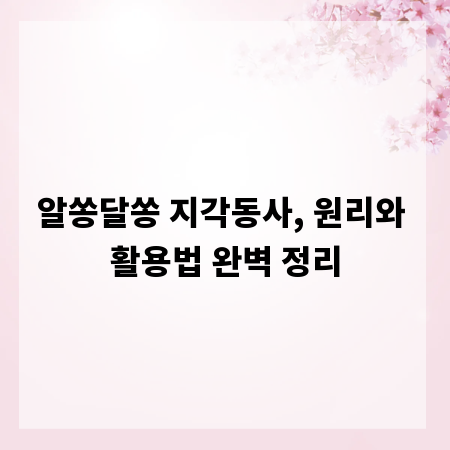 알쏭달쏭 지각동사, 원리와 활용법 완벽 정리