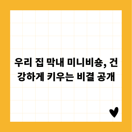 우리 집 막내 미니비숑, 건강하게 키우는 비결 공개