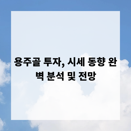 용주골 투자, 시세 동향 완벽 분석 및 전망