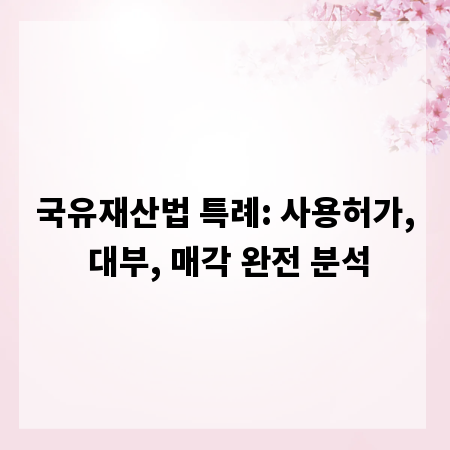 국유재산법 특례: 사용허가, 대부, 매각 완전 분석