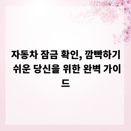 자동차 잠금 확인, 깜빡하기 쉬운 당신을 위한 완벽 가이드