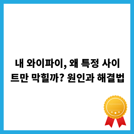 내 와이파이, 왜 특정 사이트만 막힐까? 원인과 해결법
