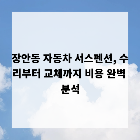 장안동 자동차 서스펜션, 수리부터 교체까지 비용 완벽 분석