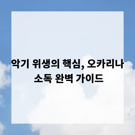 악기 위생의 핵심, 오카리나 소독 완벽 가이드