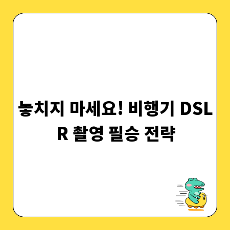 놓치지 마세요! 비행기 DSLR 촬영 필승 전략