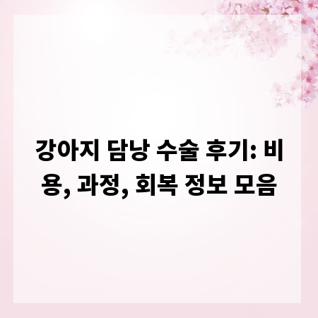 강아지 담낭 수술 후기: 비용, 과정, 회복 정보 모음