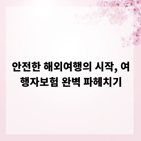 안전한 해외여행의 시작, 여행자보험 완벽 파헤치기