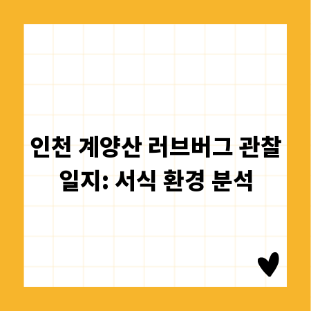 인천 계양산 러브버그 관찰일지: 서식 환경 분석
