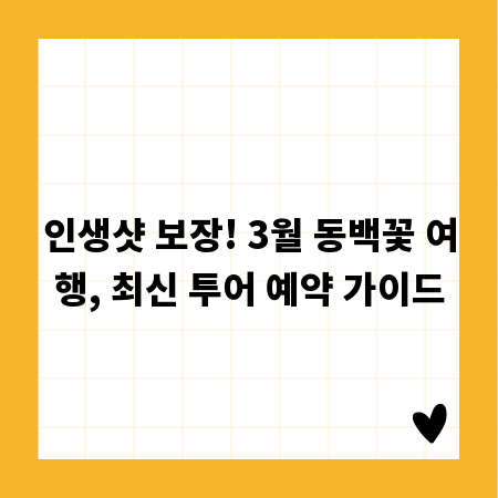 인생샷 보장! 3월 동백꽃 여행, 최신 투어 예약 가이드