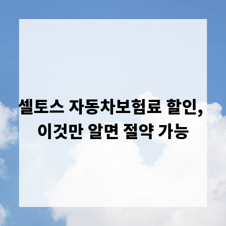 셀토스 자동차보험료 할인, 이것만 알면 절약 가능