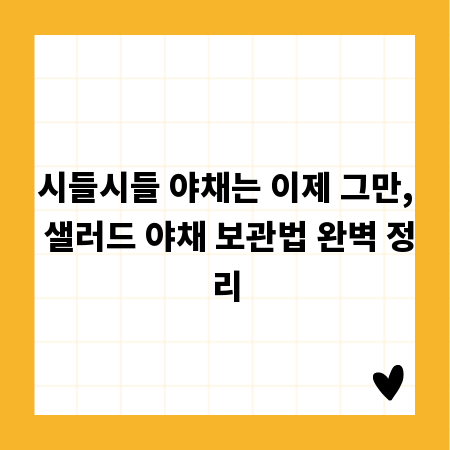 시들시들 야채는 이제 그만, 샐러드 야채 보관법 완벽 정리