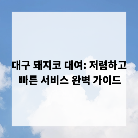 대구 돼지코 대여: 저렴하고 빠른 서비스 완벽 가이드