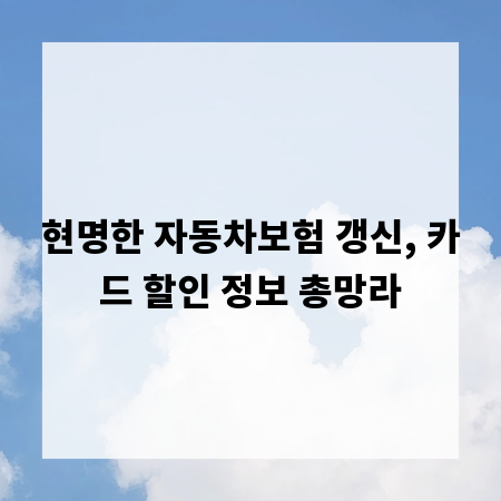 현명한 자동차보험 갱신, 카드 할인 정보 총망라