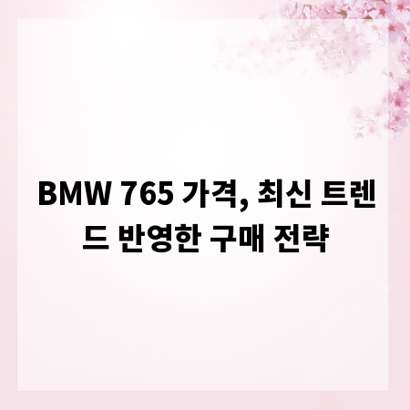 BMW 765 가격, 최신 트렌드 반영한 구매 전략