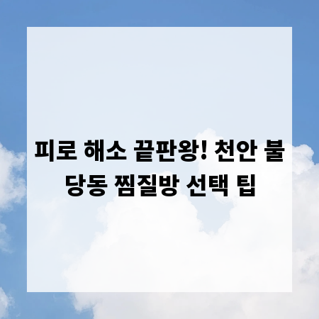 피로 해소 끝판왕! 천안 불당동 찜질방 선택 팁
