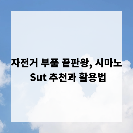 자전거 부품 끝판왕, 시마노 Sut 추천과 활용법