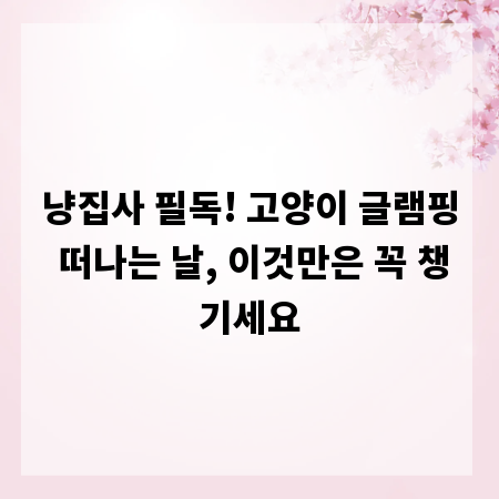 냥집사 필독! 고양이 글램핑 떠나는 날, 이것만은 꼭 챙기세요