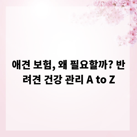 애견 보험, 왜 필요할까? 반려견 건강 관리 A to Z