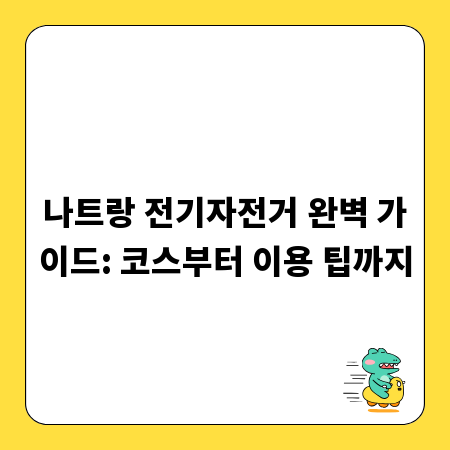 나트랑 전기자전거 완벽 가이드: 코스부터 이용 팁까지
