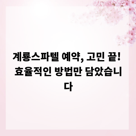 계룡스파텔 예약, 고민 끝! 효율적인 방법만 담았습니다