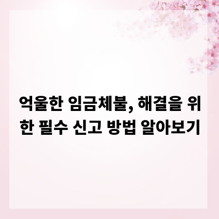 억울한 임금체불, 해결을 위한 필수 신고 방법 알아보기