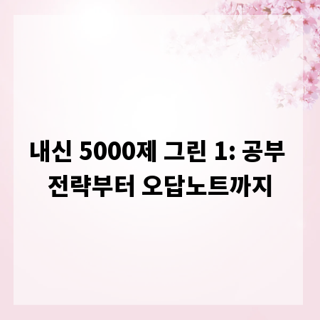 내신 5000제 그린 1: 공부 전략부터 오답노트까지