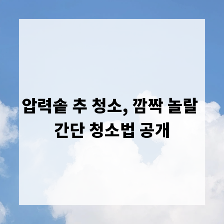 압력솥 추 청소, 깜짝 놀랄 간단 청소법 공개