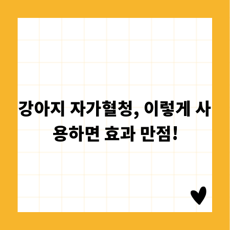 강아지 자가혈청, 이렇게 사용하면 효과 만점!