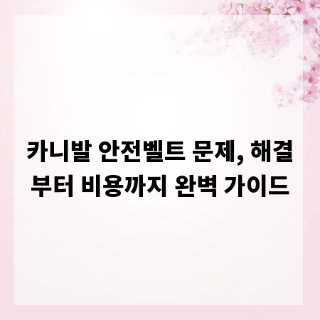 카니발 안전벨트 문제, 해결부터 비용까지 완벽 가이드